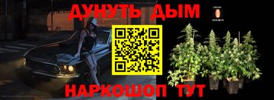 прущие крисы Лесосибирск